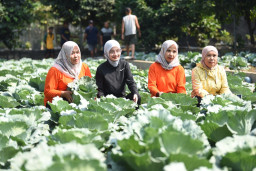 Mbak Wali Dorong Gerakan Ketahanan Pangan dan Gizi