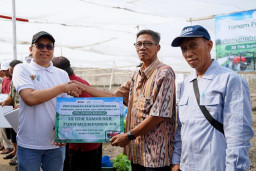 PTPN I Regional 5 Perluas Tanam Tembakau di Klaten