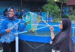 Olah Lele Hasil Budidaya Bioflok untuk Promosikan Diversifikasi Pangan
