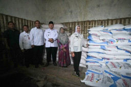 Ning Ita – Cak Sandi Turba Tinjau Ketersediaan Pupuk 